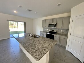 33367 Apricot Tree Ct in Wesley Chapel, FL - Foto de edificio - Building Photo