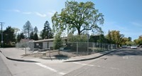 1313 Monte Vista Ave in St Helena, CA - Building Photo - Building Photo