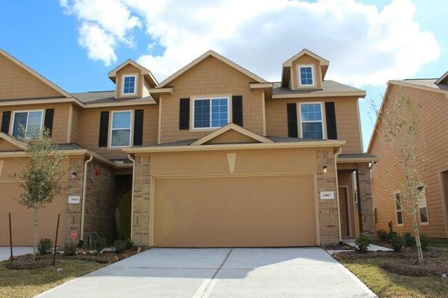 3907 Lexington Grove Ct in Missouri City, TX - Building Photo - Building Photo