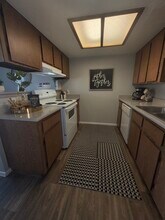 Falcon Glen in Mesa, AZ - Building Photo - Building Photo