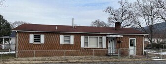 1308 Maple Ave in Buena Vista, VA - Building Photo