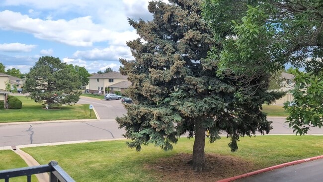 property at 3355 S Flower St