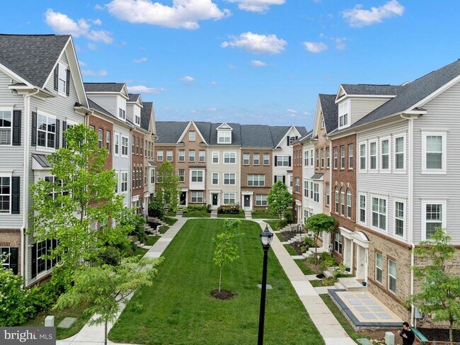 7207 Barrberry Ln in Beltsville, MD - Building Photo - Building Photo