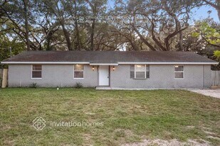 11811 Roselawn Ave in Seffner, FL - Building Photo