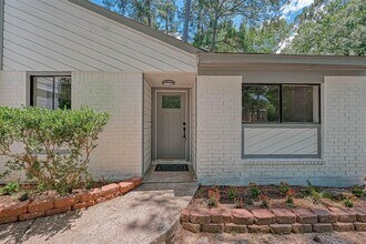 12 Field Flower Ct in Spring, TX - Building Photo - Building Photo