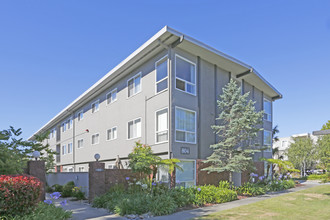 East 19th Avenue Apartments in San Mateo, CA - Foto de edificio - Other