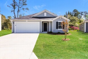 2929 Ember Brook Ct in Castle Hayne, NC - Building Photo