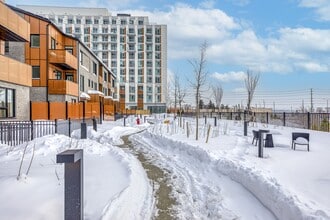 60-160 All Nations Dr in Brampton, ON - Building Photo - Building Photo