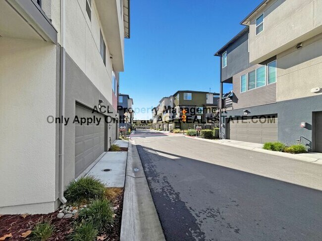 157 Cue Way in Hayward, CA - Building Photo - Building Photo