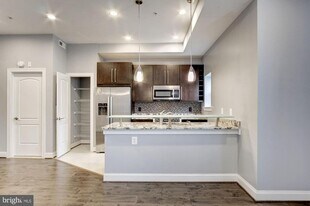 1333 Euclid St NW in Washington, DC - Building Photo