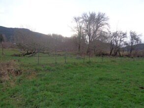 224 Priest Rd in Morton, WA - Building Photo - Building Photo