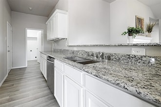 3721 Mountain Ranch Rd in Roanoke, TX - Building Photo - Building Photo