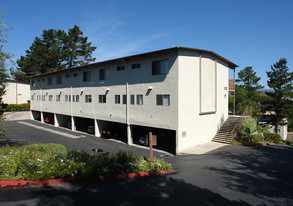 Mountain Shadow Apartments