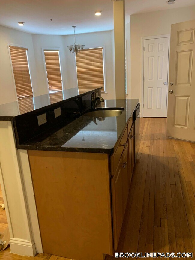 14 Homer St in Brookline, MA - Building Photo - Building Photo