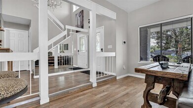 2236 Curlew Rd in Palm Harbor, FL - Building Photo - Building Photo