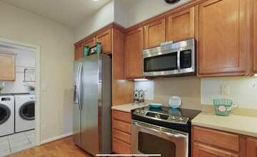 223 S Veracruz Pl in Mountain House, CA - Building Photo - Building Photo
