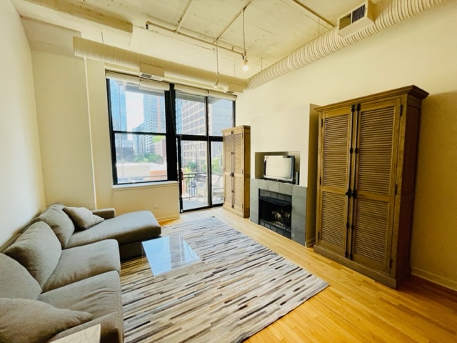 547 S Clark St, Unit 303 in Chicago, IL - Building Photo - Building Photo