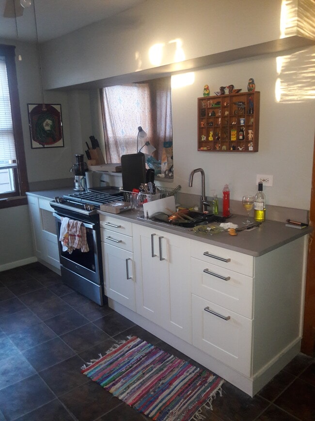 1502 N Springfield Ave, Unit 2 in Chicago, IL - Building Photo - Building Photo