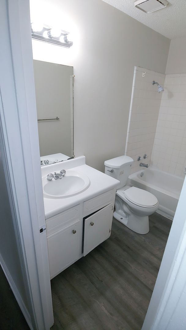 404 8th Ave NE in Tuscaloosa, AL - Building Photo - Building Photo