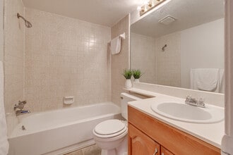 Alexis Park Apartments in Tulsa, OK - Foto de edificio - Interior Photo
