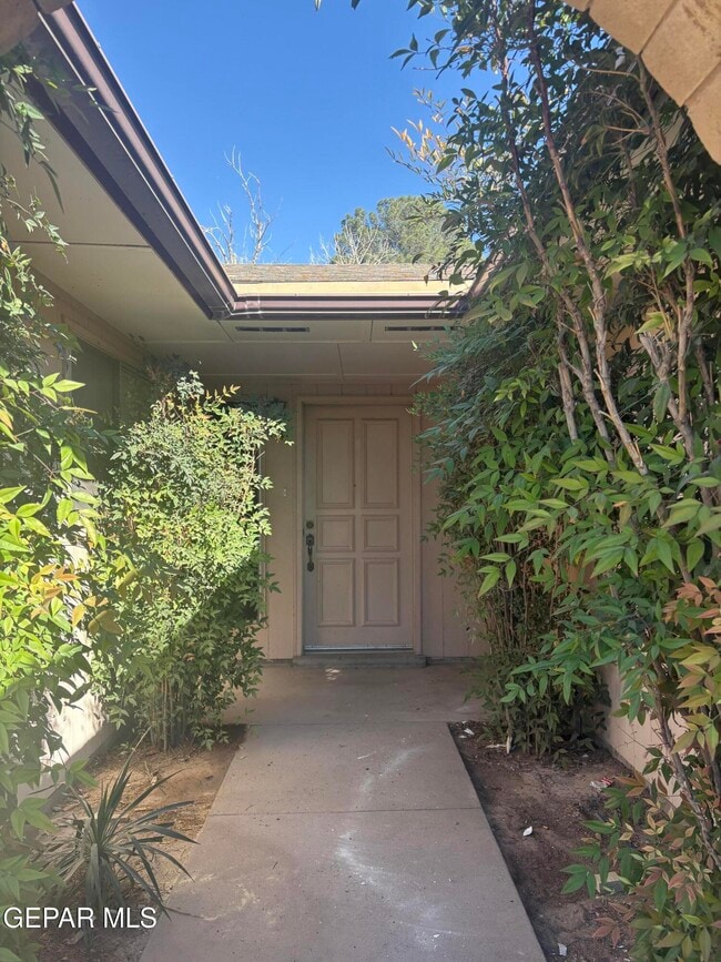 2823 Anise Dr in El Paso, TX - Building Photo - Building Photo