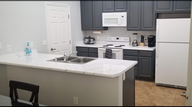 164 Shade Tree Ln in Mesquite, NV - Building Photo - Building Photo