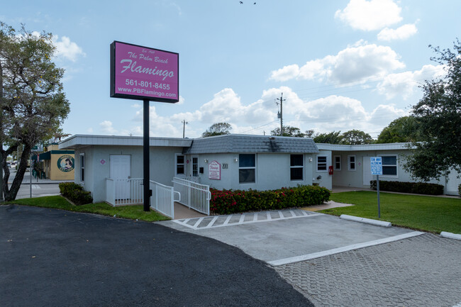 The Palm Beach Flaimingo