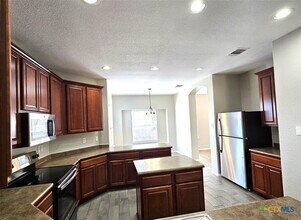 316 Julian Point in Cibolo, TX - Building Photo - Building Photo