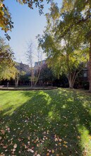 1351 W Altgeld St in Chicago, IL - Building Photo - Building Photo