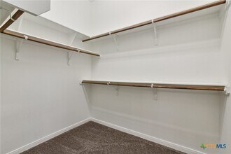 1131 Kiskadee Branch Dr in Temple, TX - Building Photo - Building Photo