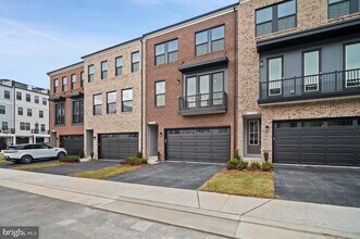 21747 Charing Cross Ter, Unit 369 in Ashburn, VA - Foto de edificio - Building Photo