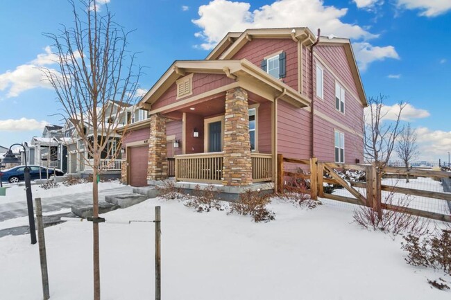 property at 4197 Chasm Lk Dr