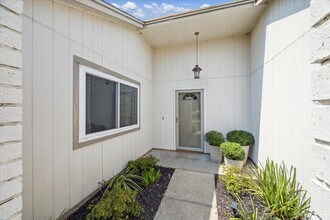 2784 Forest Point Dr in League City, TX - Foto de edificio - Building Photo