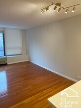 1313 N Ritchie Ct, Unit 903 in Chicago, IL - Building Photo - Building Photo