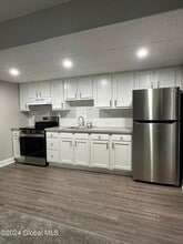 205 S Allen St in Albany, NY - Building Photo - Building Photo