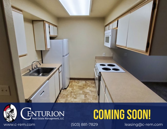 property at 3749 45th Ave NE