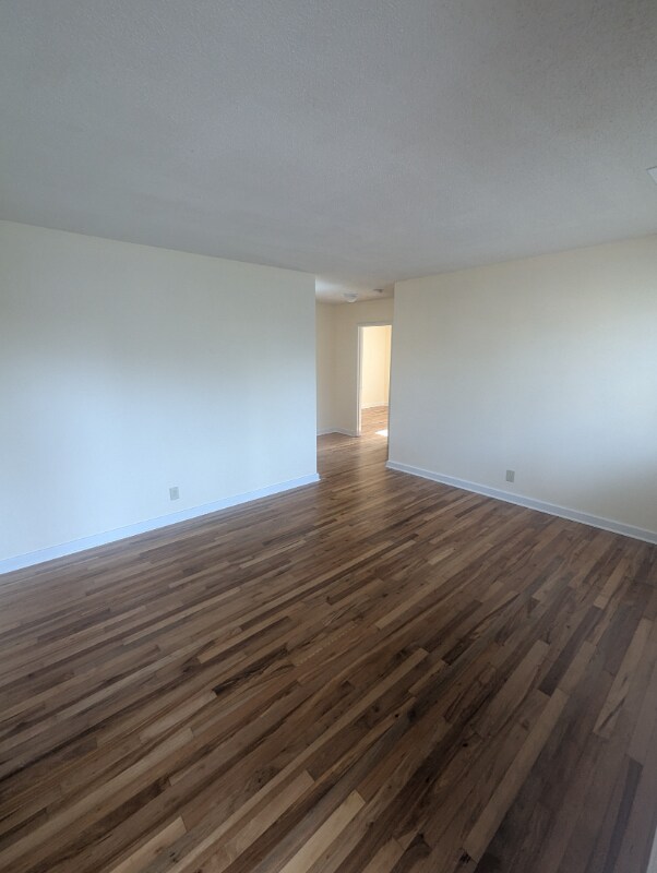 4 Maple Leaf Ct in Asheville, NC - Building Photo - Building Photo