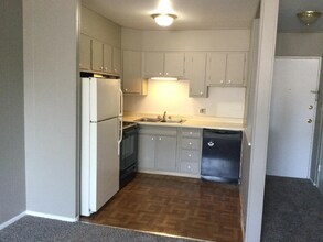 1160 N Ogden St in Denver, CO - Building Photo - Building Photo