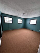 918 Eureka St in Lansing, MI - Building Photo