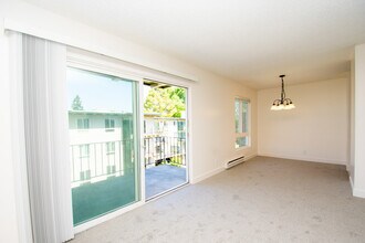 816 N Delaware St in San Mateo, CA - Building Photo - Building Photo