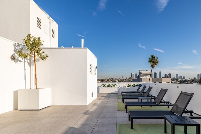 The Hummingbird LA
