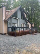 255 Mountain View Dr in Pocono Lake, PA - Building Photo