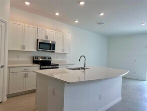 2079 Hallier Cv in Wesley Chapel, FL - Building Photo - Building Photo