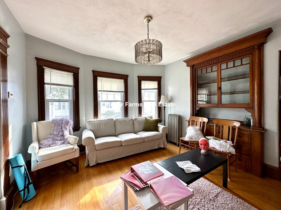 117 Hillsdale Rd, Unit 1 in Somerville, MA - Building Photo