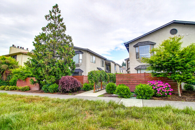 Alki 12 Apartments in Seattle, WA - Building Photo - Building Photo