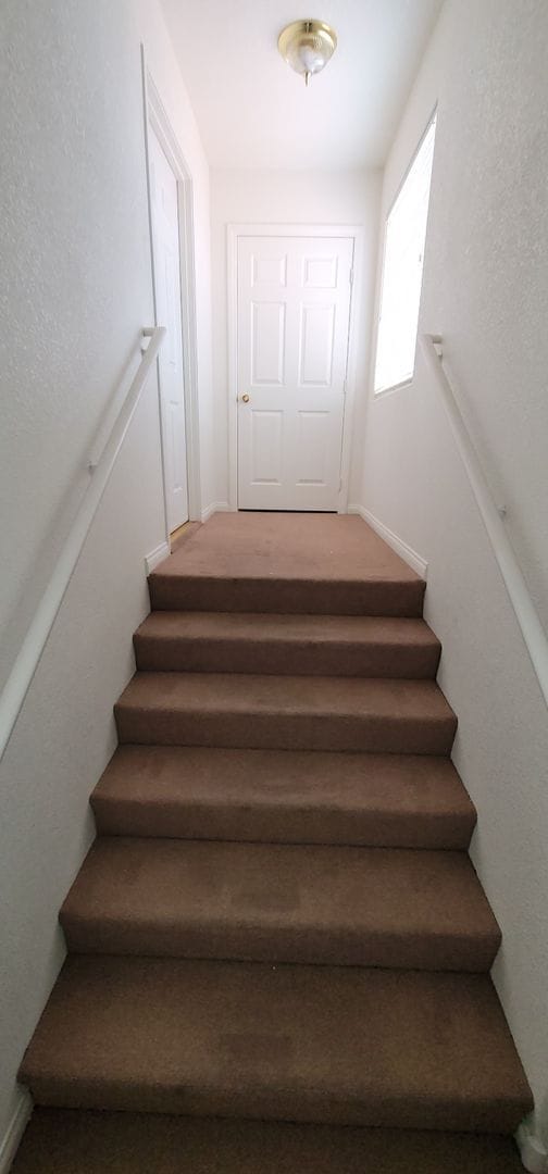 3327 Erva St in Las Vegas, NV - Building Photo - Building Photo