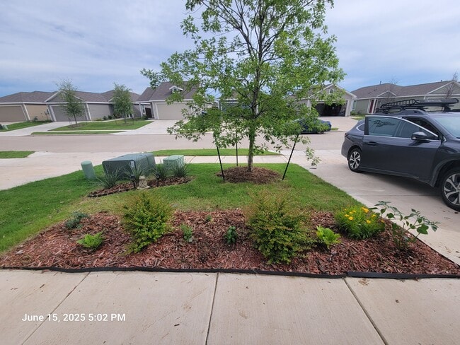 3616 Esperanza St in McKinney, TX - Foto de edificio - Building Photo