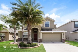 10707 River Hawk Ln in Riverview, FL - Building Photo