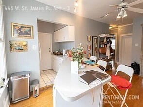 445 W St James Pl in Chicago, IL - Building Photo - Building Photo
