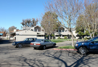 Continental Apartments in Santa Rosa, CA - Building Photo - Building Photo